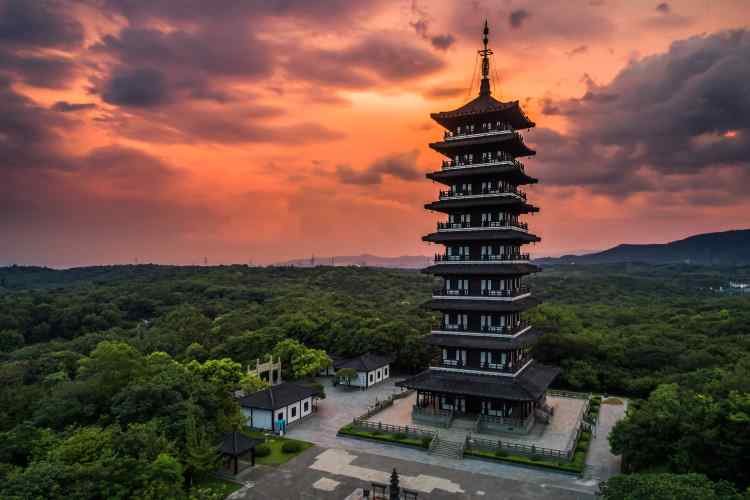 منحة بكالوريوس الذكاء الاصطناعي